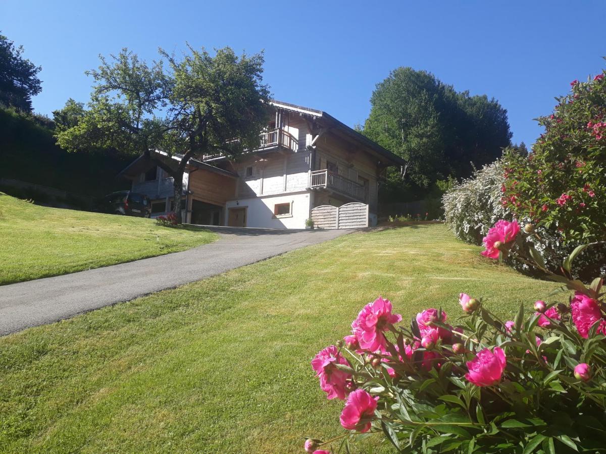 Appartement Borne Saint-Jean-dʼAulps 外观 照片