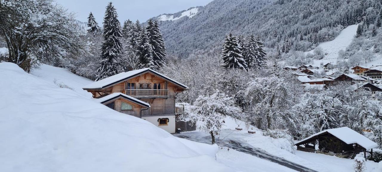 Appartement Borne Saint-Jean-dʼAulps 外观 照片