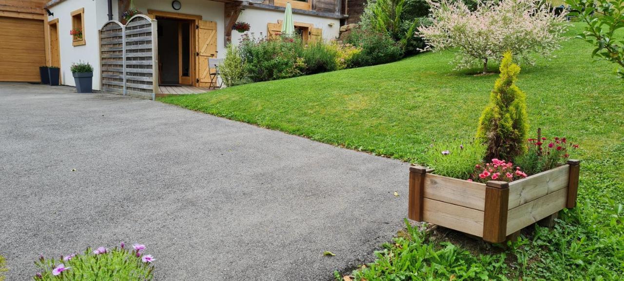 Appartement Borne Saint-Jean-dʼAulps 外观 照片